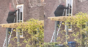 Doe-het-zelver is lekker aan het kitten met live commentaar van de vakmannen…
